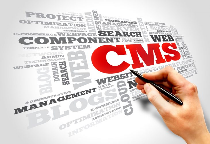 Graue bis schwarze Wortwolke. Im Zentrum steht groß in roten Lettern CMS.